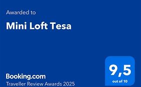 Mini Loft Tesa